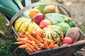 Autumn Gardening